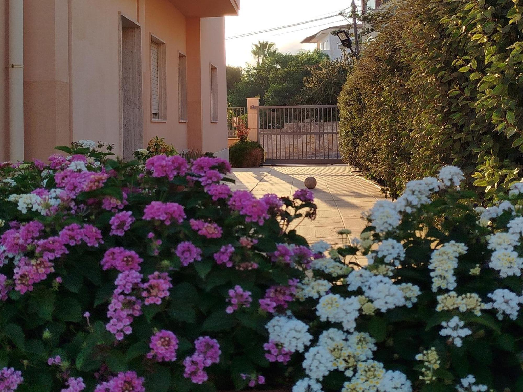 Profumo Di Mare 1 Villa Alcamo Marina Eksteriør billede